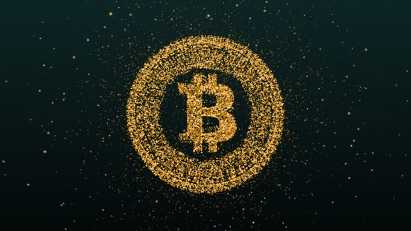 Bitcoin Cryptocurrency Logo Reveal
