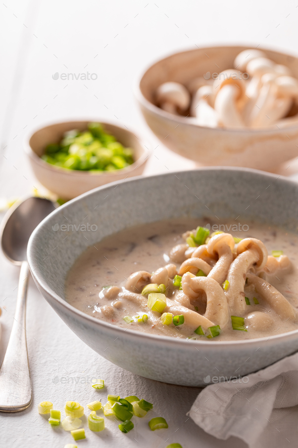 Vegan shimeji mushroom soup with cream and chives. Stock Photo by Shaiith