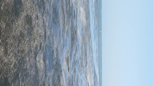 Zanzibar Tanzania  Vertical Video of Low Tide in the Ocean Near the Coast Slow Motion alt