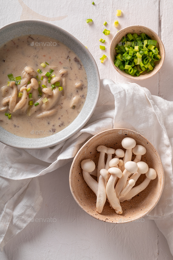 Homemade shimeji mushroom soup with cream and chives. Stock Photo by