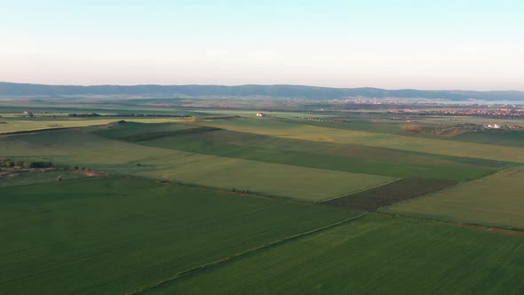 Fields And Sea