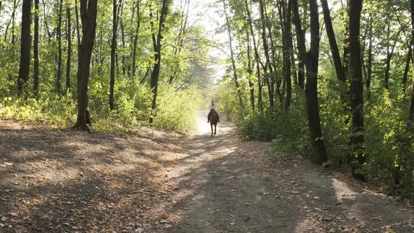 Beautiful Woman Walking with a Black Horse in the Park alt