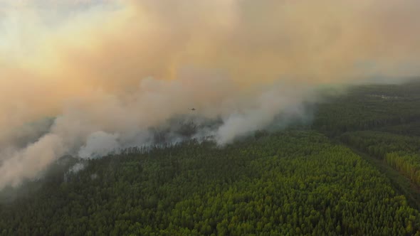 Fire Fighting Helicopter Dropping Water on Forest Fire, Stock Footage