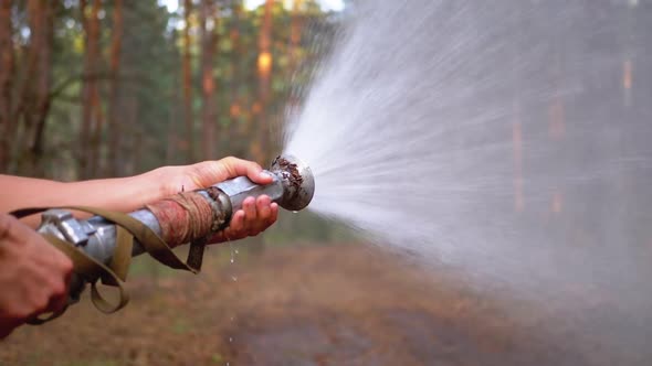 Men's Hands Hold a Fire Hose From Which Water Runs Under Pressure in Pine Forest alt