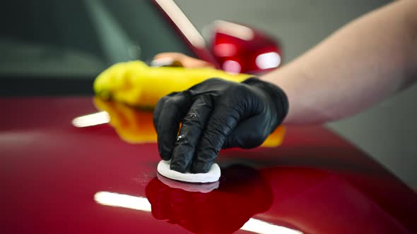 Chemical Cleaning of a Car Hood alt