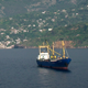 Cargo Ship in Landscape - VideoHive Item for Sale