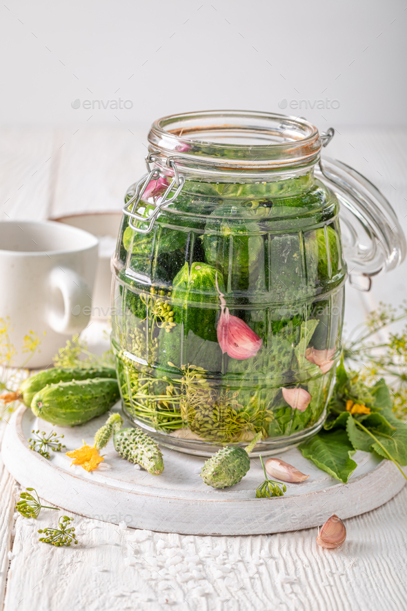Healthy pickled cucumbers made of vegetables from backyard greenhouse.