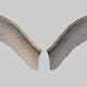 Animated angel wings