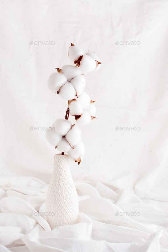 A branch of cotton in a vase on a white cloth. Concept white on white. Home interior. Vertical view