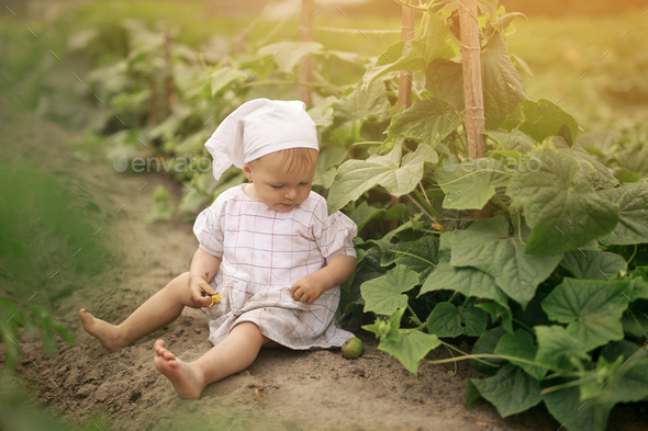 Dirty unwashed fruit. Hungry child is sitting on the earth in a vegetable garden