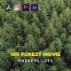100 Forest Movie LUTs Color Grading
