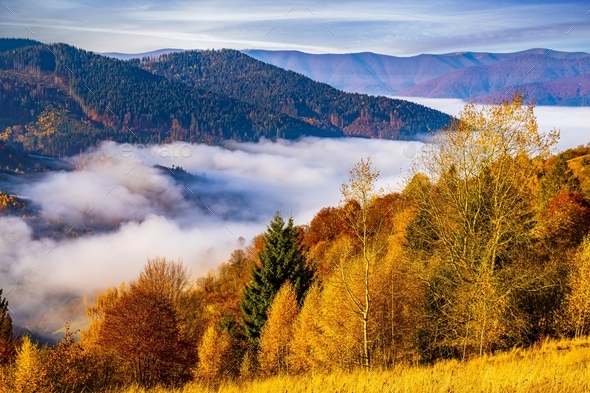 Giant valley surrounded by forestry mountains in highland Stock Photo ...