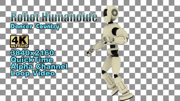 Fun Joy Robot Humanoide