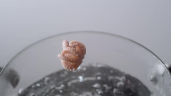 Camera follows cooking octopus in boiling water. Slow Motion. alt