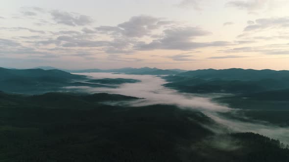 Fog Over Coniferous Forest in the Mountains at Sunrise