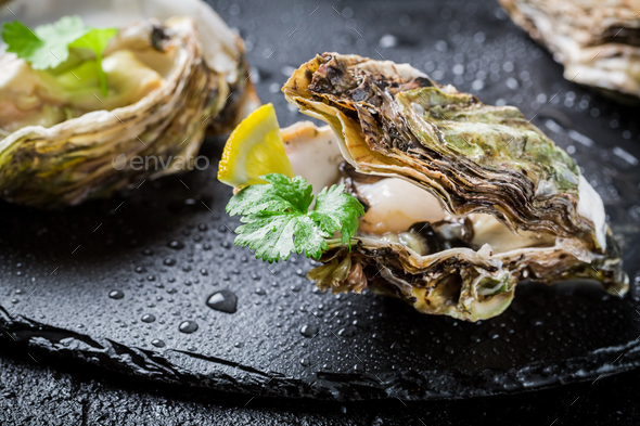 Freshly caught oyster in shell on black rock Stock Photo by Shaiith