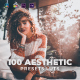 100 Aesthetic LUTs Color Grading