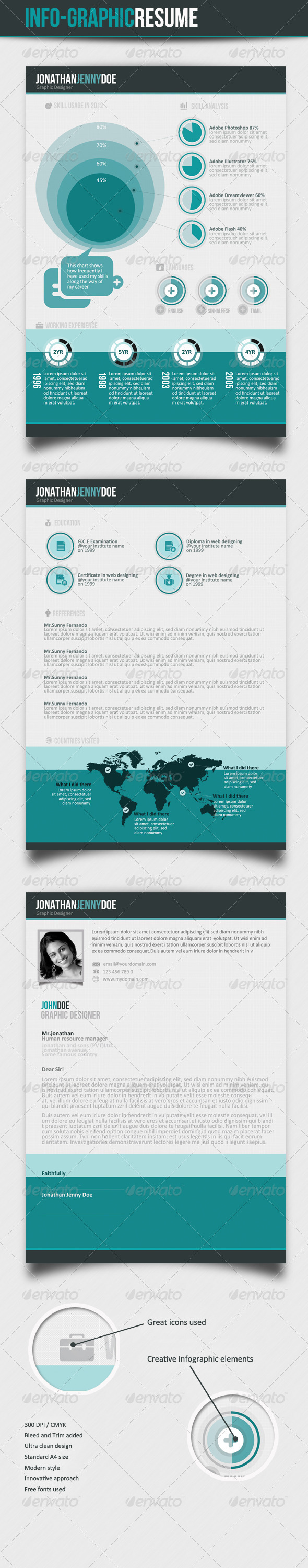 Info-graphic Resume V-II - Resumes Stationery