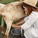 Putdoor portrait of young happy woman with goat - PhotoDune Item for Sale
