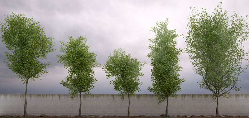 50 cây Low Poly cho 3Ds Max & Vray của 3DTrees | 3DOcean: Với bộ sưu tập 50 cây Low Poly từ 3DTrees trên 3DOcean, bạn sẽ tìm thấy các mô hình cây sống động, đẹp mắt và mang tính thẩm mỹ cao. Chúng tôi cam kết sử dụng các model chính xác và chất lượng, giúp bạn thực hiện các dự án thiết kế với chân thực hơn.