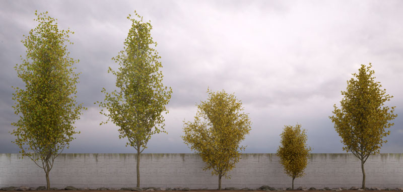 50 cây Low Poly cho 3Ds Max & Vray của 3DTrees | 3DOcean - Bạn muốn tạo ra một thế giới rộng lớn với nhiều cây xanh tươi mới trong 3DS Max và Vray? Hãy khám phá bộ sưu tập 50 cây Low Poly từ 3DTrees trên 3DOcean để tạo ra bối cảnh sống động và tự nhiên hơn.