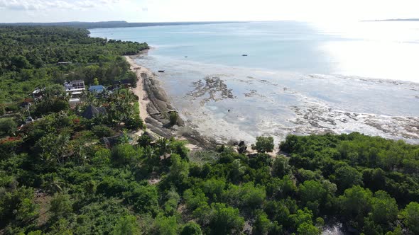 Ocean Low Tide Near the Coast of Zanzibar Island Tanzania alt