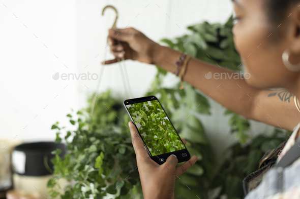 Woman takes a photo of houseplant to share on social media