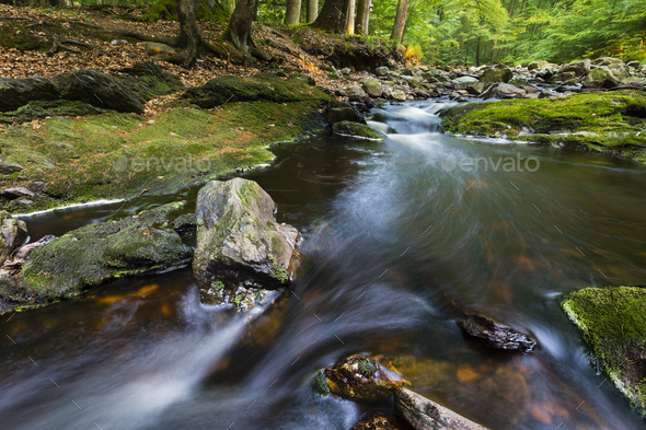 Forest Mountain Stream Rapids - Stock Photo - Images