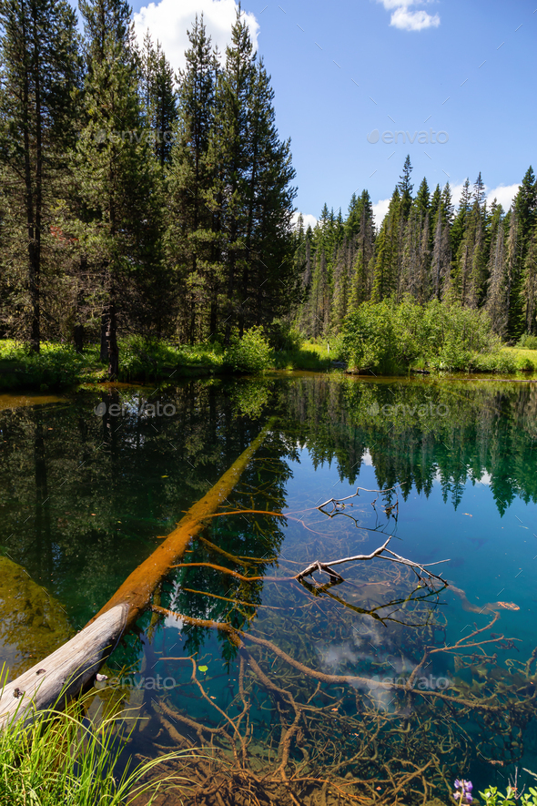 Little Crater Lake during a vibrant sunny summer day Stock Photo by edb3_16