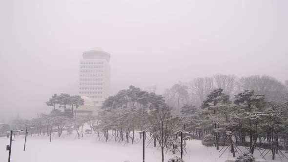 Heavy snow storm blizzard in Seoul, cinematic skyline cityscape, extreme weather alt