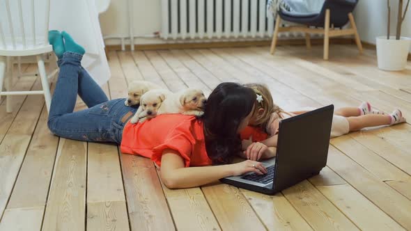 Puppies Lying on Back of Woman Working on Laptop alt