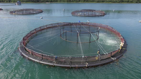 A Fish Farm in Scotland Providing Mariculture for Food Markets alt
