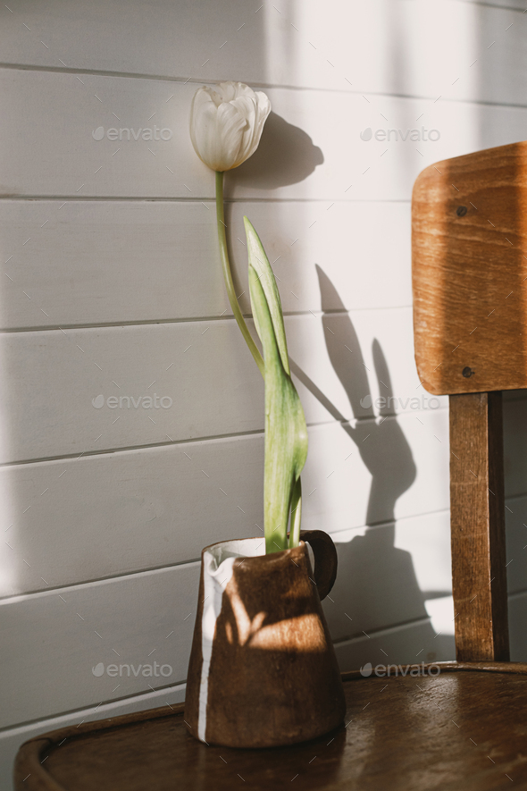 Stylish white tulip in modern ceramic kettle in sunlight on rustic chair. Spring minimal aesthetic
