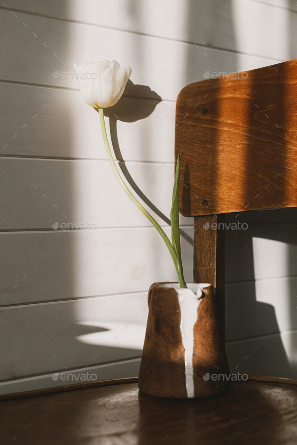 Stylish white tulip in modern ceramic kettle in sunlight on rustic chair. Spring minimal aesthetic