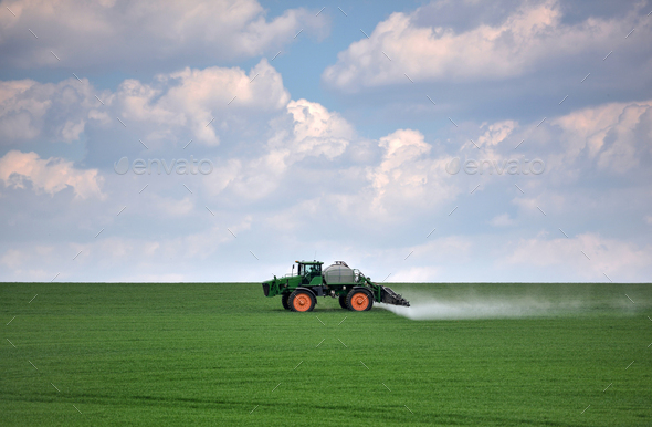 Tractor spraying green wheat field. Agricultural work - Stock Photo - Images