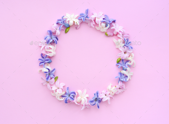 Round frame wreath pattern of multicolored hyacinth flowers on pink background - Stock Photo - Images