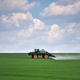 Tractor spraying green wheat field. Agricultural work - PhotoDune Item for Sale