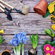 Garden tools, flowers and plants on a rustic wooden background, frame. Gardening concept. Top view - PhotoDune Item for Sale