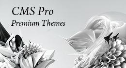 CMS Pro themes