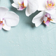 Blue banner with white tropical orchids - PhotoDune Item for Sale
