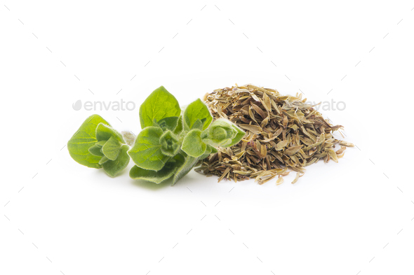Oregano Bright Green Leaves and Dry. Fresh and Dry Oregano Isolated on a White Background. - Stock Photo - Images