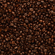 Coffee beans line background - PhotoDune Item for Sale