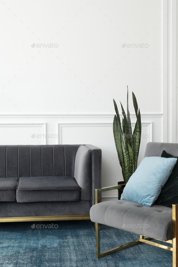 Chic midcentury modern luxury aesthetics living room with gray velvet