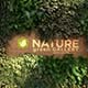 Nature Gallery - VideoHive Item for Sale
