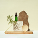 CBD oil in bottle, cannabis bush, hemp on geometric podium - PhotoDune Item for Sale