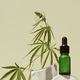 CBD oil in bottle, cannabis bush, hemp on geometric podium - PhotoDune Item for Sale