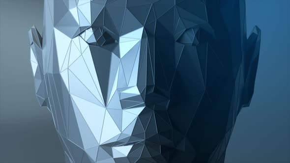 Creates a Polygonal Digital Human Face alt