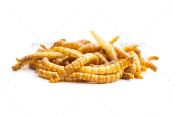 Fried salty worms. Roasted mealworms. - Stock Photo - Images