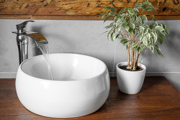 Ficus near the sink - Stock Photo - Images