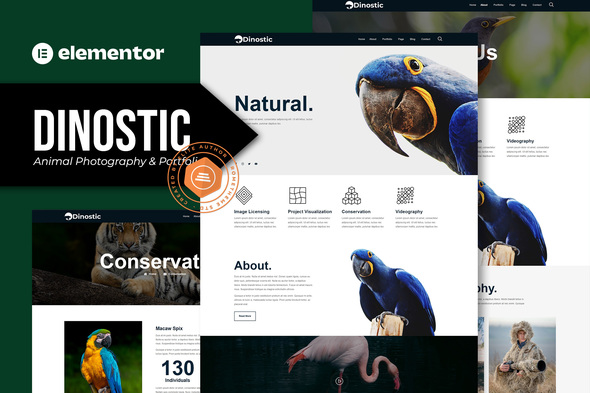 Dinostic Coverimage template kit 2022